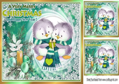Cute pair of little birds  in winter scarf in turq festive frame 8x8