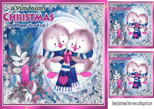Cute pair of little birds  in winter scarf in pink festive frame 8x8