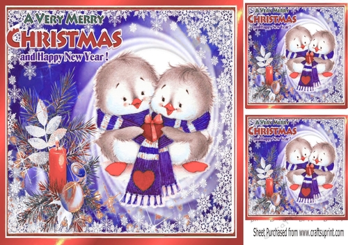Cute pair of little birds  in winter scarf in peach festive frame 8x8