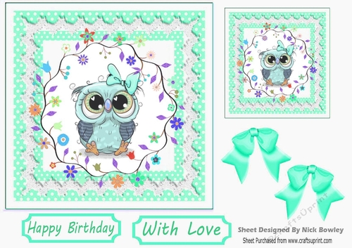 Cute owl with flowers in turq polkadot and lace 7x7 frame