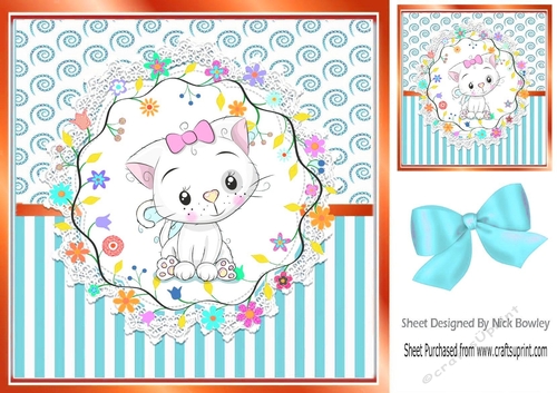 Cute white kitten in turq stripe ornate frame 8x8