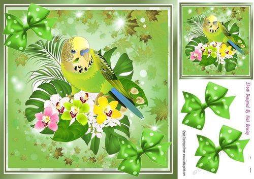 Cute green budgie with polkadot bows 8x8 (one)