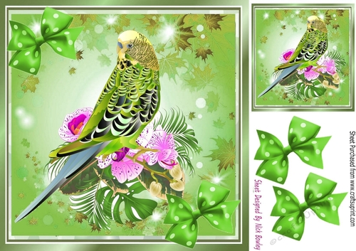 Cute green budgie with polkadot bows 8x8 (four)