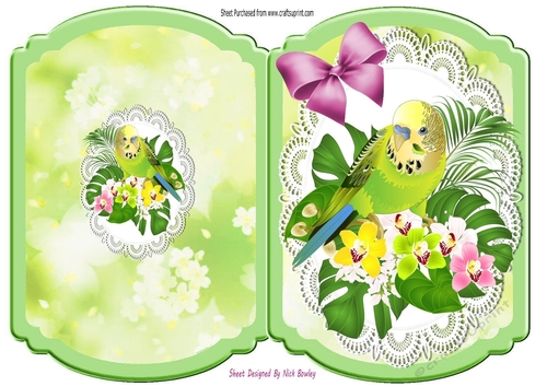 Pretty green budgie on lace with bow bracket card (two)