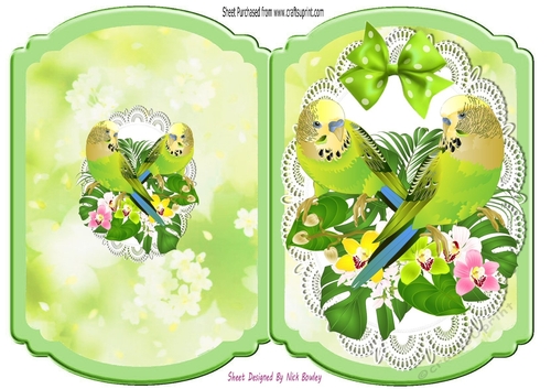 Pretty green budgies on lace with bow bracket card (three)