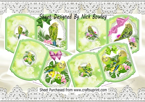  4 Pretty green budgies on lace with bows bracket cards mini kit