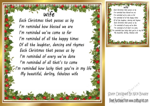 Pretty holly and berry christmas card front/insert for WIFE