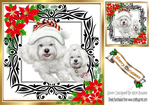 Cute westies in santa hat, festive frame with red flowers 8x8
