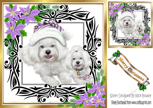 Cute westies in santa hat, festive frame with lilac flowers 8x8