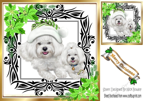 Cute westies in santa hat, festive frame with green flowers 8x8