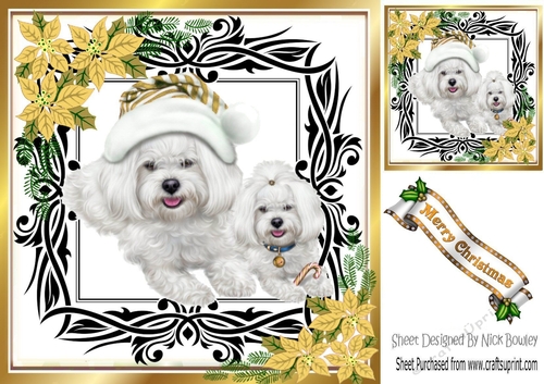 Cute westies in santa hat, festive frame with gold flowers 8x8