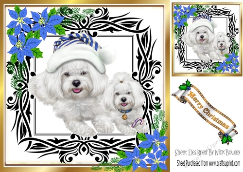 Cute westies in santa hat, festive frame with blue flowers 8x8