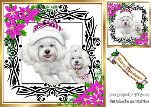 Cute westies in santa hat, festive frame with cerise flowers 8x8