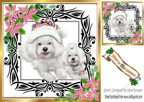 Cute westies in santa hat, festive frame with pink flowers 8x8