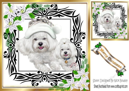 Cute westies in santa hat, festive frame with silver flowers 8x8