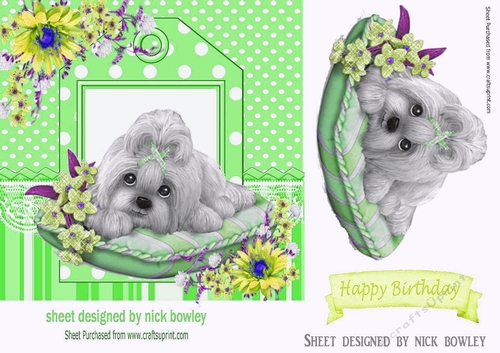 cute puppy on cushion with yellow flowers 7x7