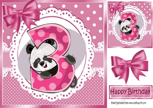 Cute panda in pink  birthday (3) 8x8
