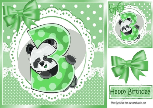 Cute panda in green  birthday (3) 8x8