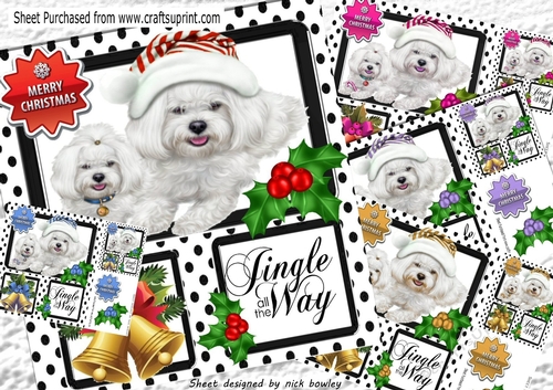  5 westies in polkadot windows with holly card fronts  8x8  mini kit