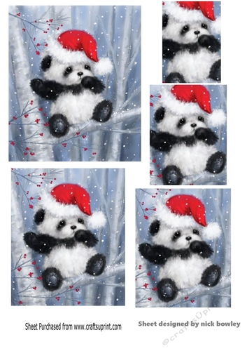 Cute baby panda in red santa  hat pyramids
