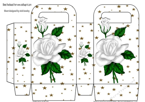 Pretty white rose with bud and gold star gift box