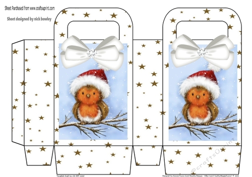Cute robin with white bows bows, and gold star gift bag