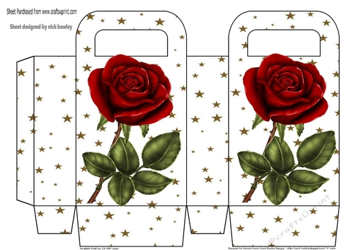 Pretty red rose and gold star gift box