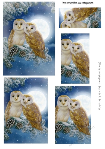 Owls in the snow pyramids
