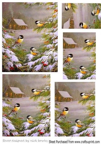 sweet little birds in the snow pyramids