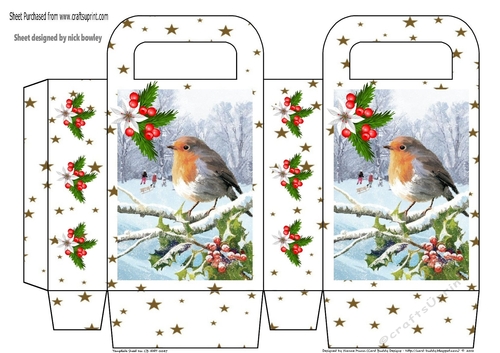 Sweet robin with gold star bag/box