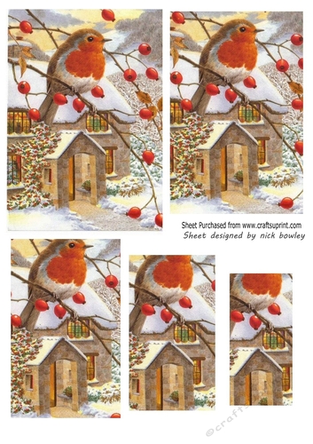 Sweet Robin on a branch of snow pyramids