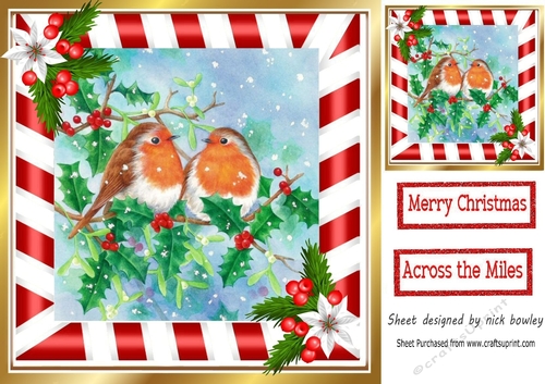 Pretty robins in the snow pyramids 8x8