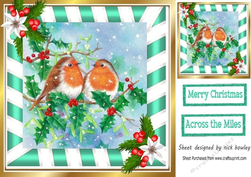 Pretty robins in the snow pyramids 8x8 (turq)