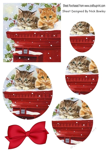 Cute kittens and holly with pillar box oval pyramids