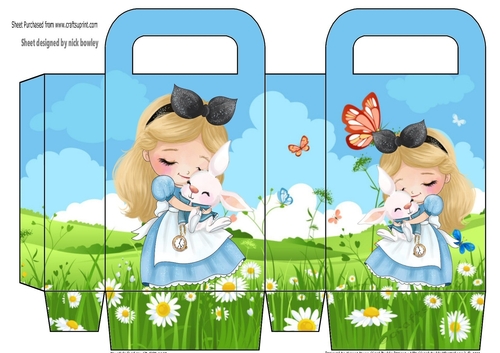 sweet little girl in the meadows gift bag/box (two)