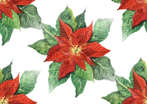 red poinsettias backing paper (big)