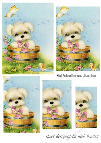 cute puppy in a barrel with flowers pyramids