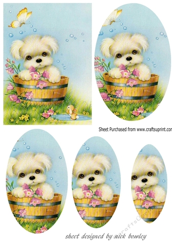 cute puppy in a barrel with flowers oval pyramids