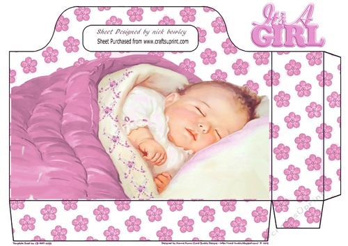 sleeping baby girl with pink flowers tote gift bag