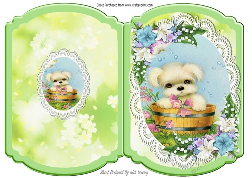 cute puppy on lace with flowers bracket card