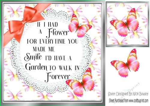 pretty butterflies and orange bow with verse card front 8x8