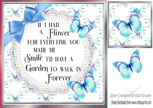 pretty butterflies and blue bow with verse card front 8x8