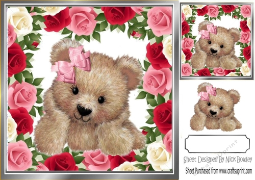 Cute fuzzy bear in frame of red roses 8x8 with gift card makes a lovely card