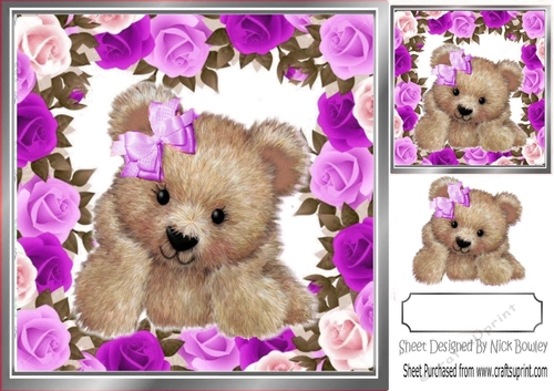 Cute fuzzy bear in frame of purple roses 8x8 with gift card makes a lovely card
