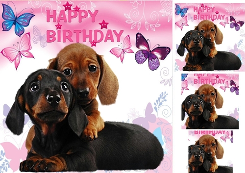 Cute furry friends puppies with butterflies 8x8