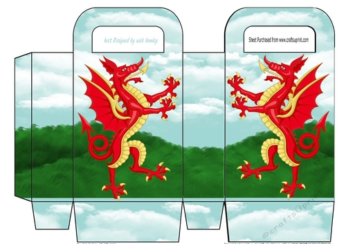 Lovely red dragon small gift bag