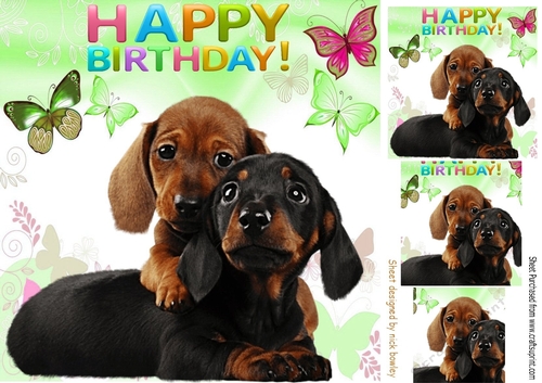 Sweet little puppies and butterflies 8x8