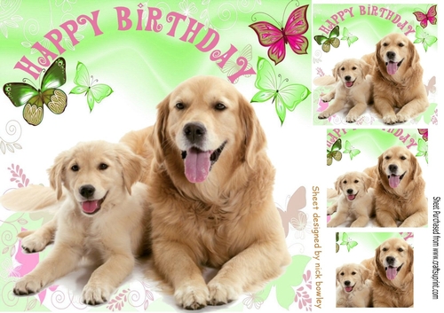 Furry friends with coloured  butterflies 8x8