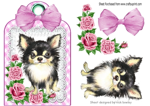 Cute Chichuhua with pink roses and bow on a lace tag/topper