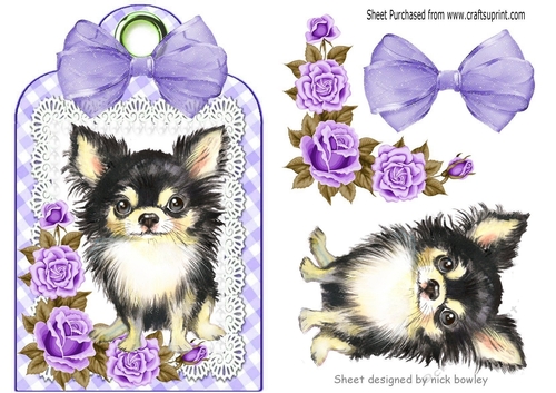 Cute Chichuhua with purple roses and bow on a lace tag/topper